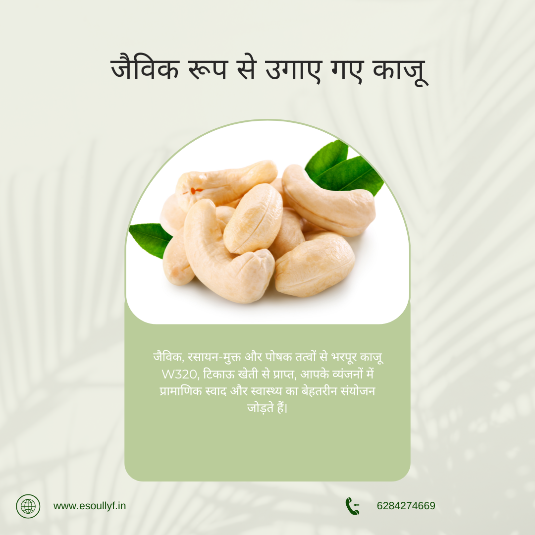 Organically Grown Cashew | Kaju - SOUL SOCIETY FOR ORGANIC FARMING