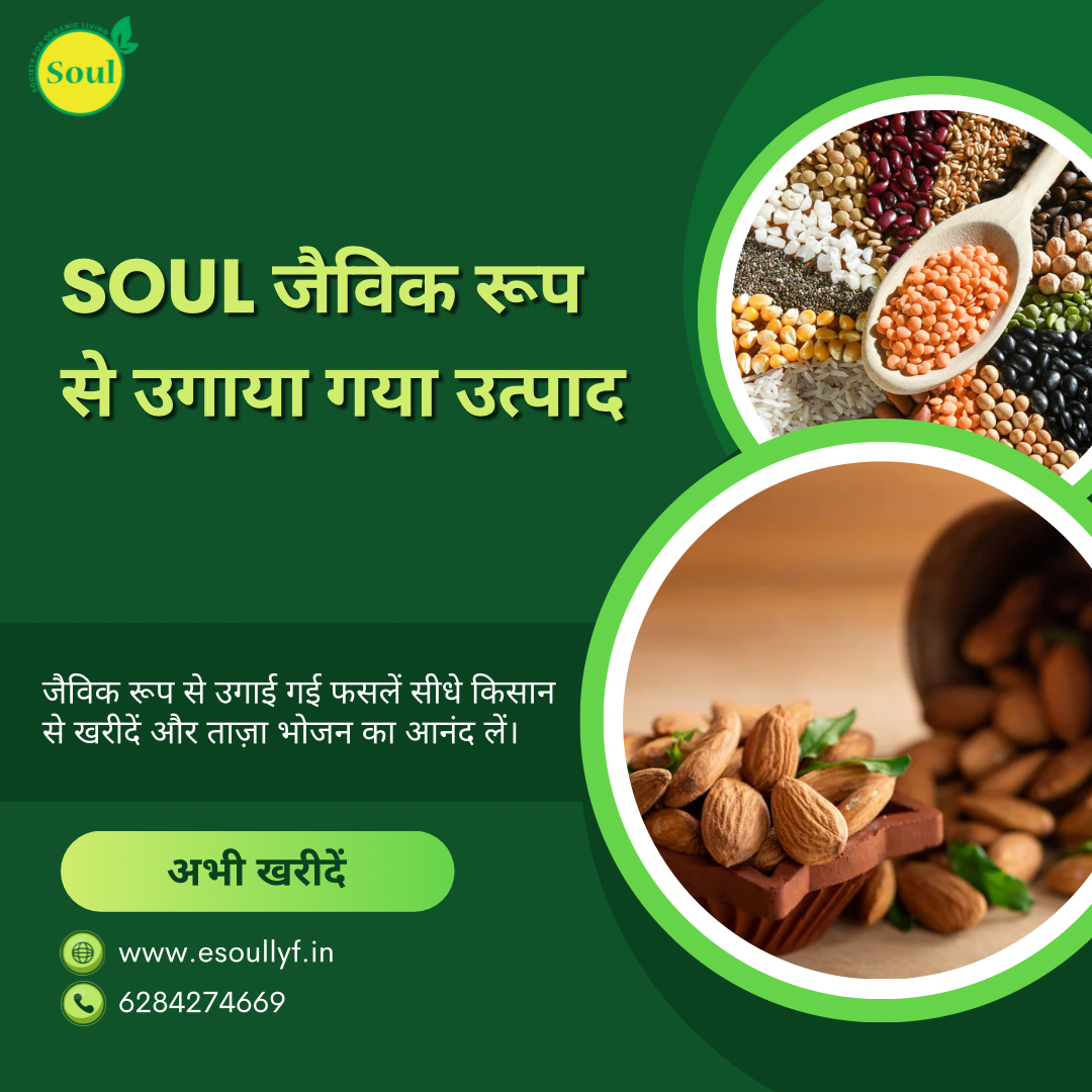 Organically Grown Cashew | Kaju - SOUL SOCIETY FOR ORGANIC FARMING