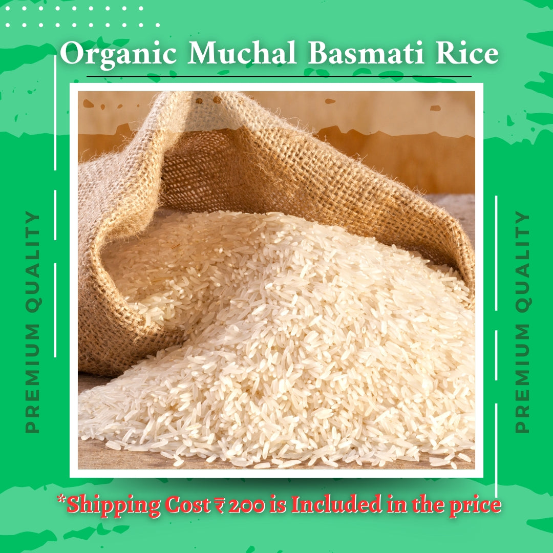 Rice Basmati Muchhal by Harcharan Singh - SOUL SOCIETY FOR ORGANIC FARMING