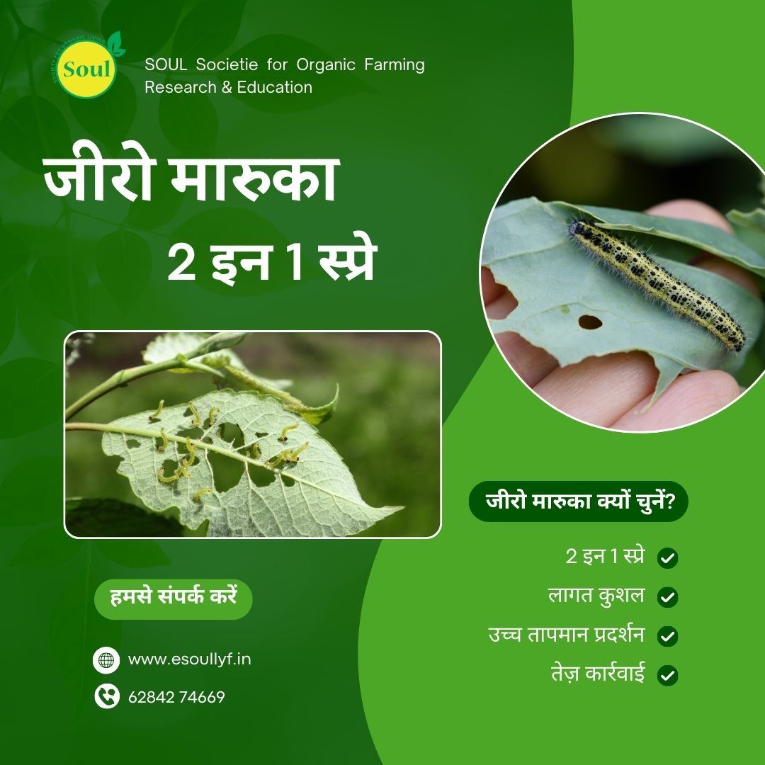 जीरो मारुका - 2 इन 1 चूसने वाले कीटों और सुंडी के लिए (दालों और तिलहनों के लिए)