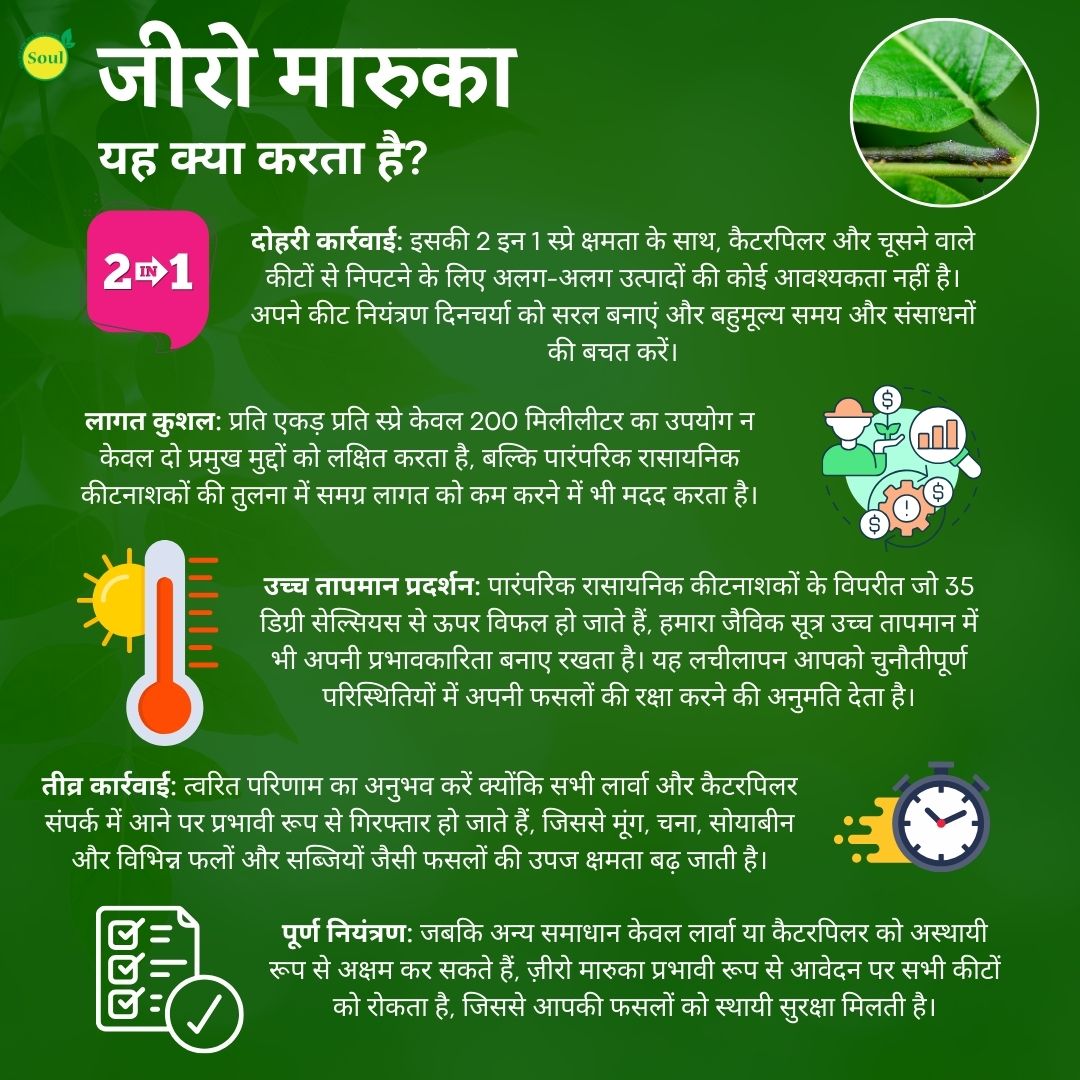 जीरो मारुका - 2 इन 1 चूसने वाले कीटों और सुंडी के लिए (दालों और तिलहनों के लिए)
