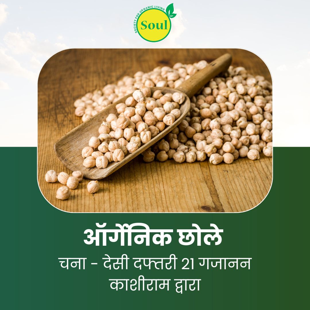 Organic Chole | Chickpea - Desi Daftari 21 by Gajanan Kashiram