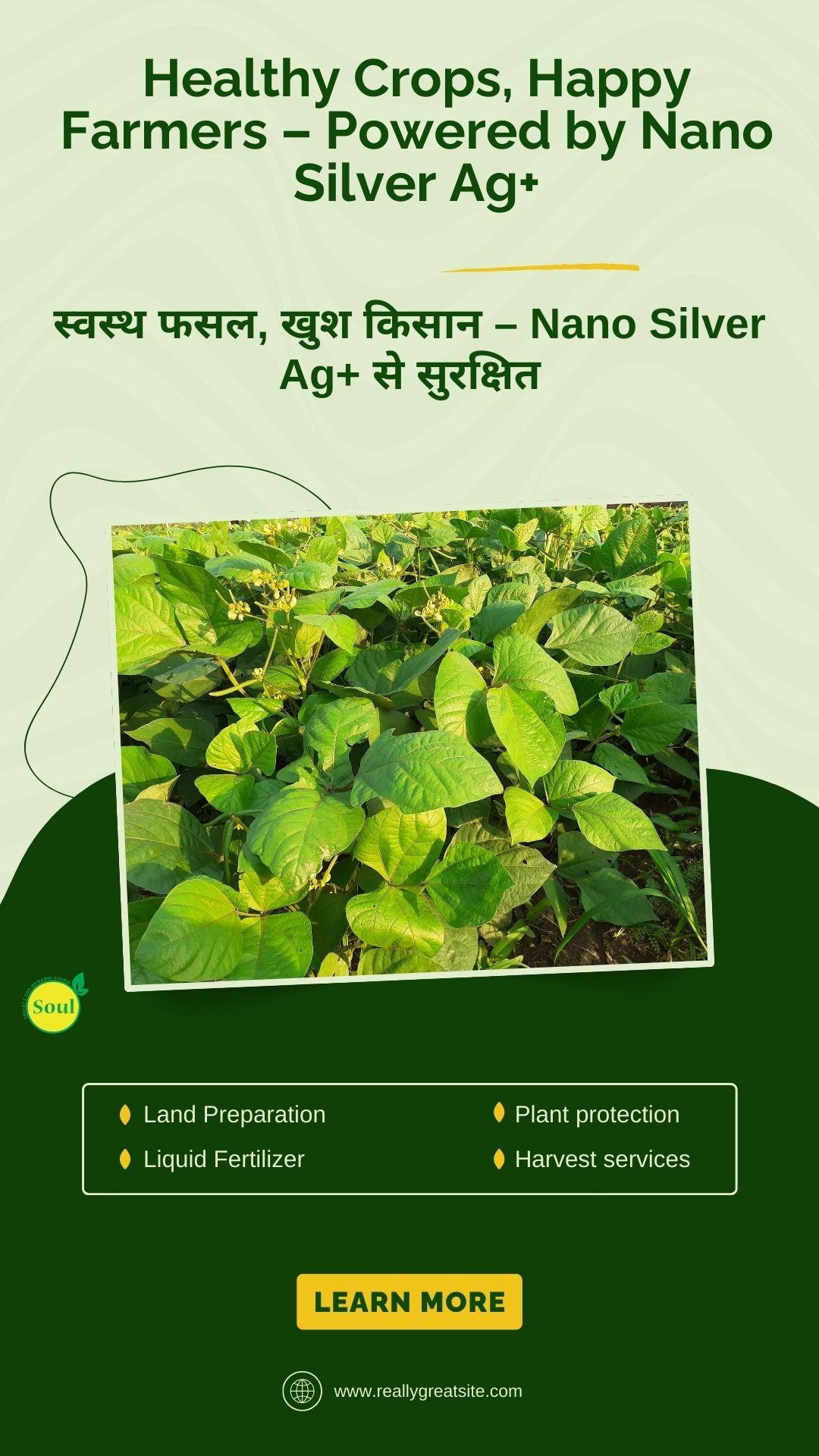नैनो सिल्वर AG+ | जीवाणु और वायरल रोगों (ब्लाइट, लीफ कर्ल, CMV) और फंगल संक्रमण (फाइटोफ्थोरा, फ्यूजेरियम, रूट रॉट) के लिए नियंत्रण