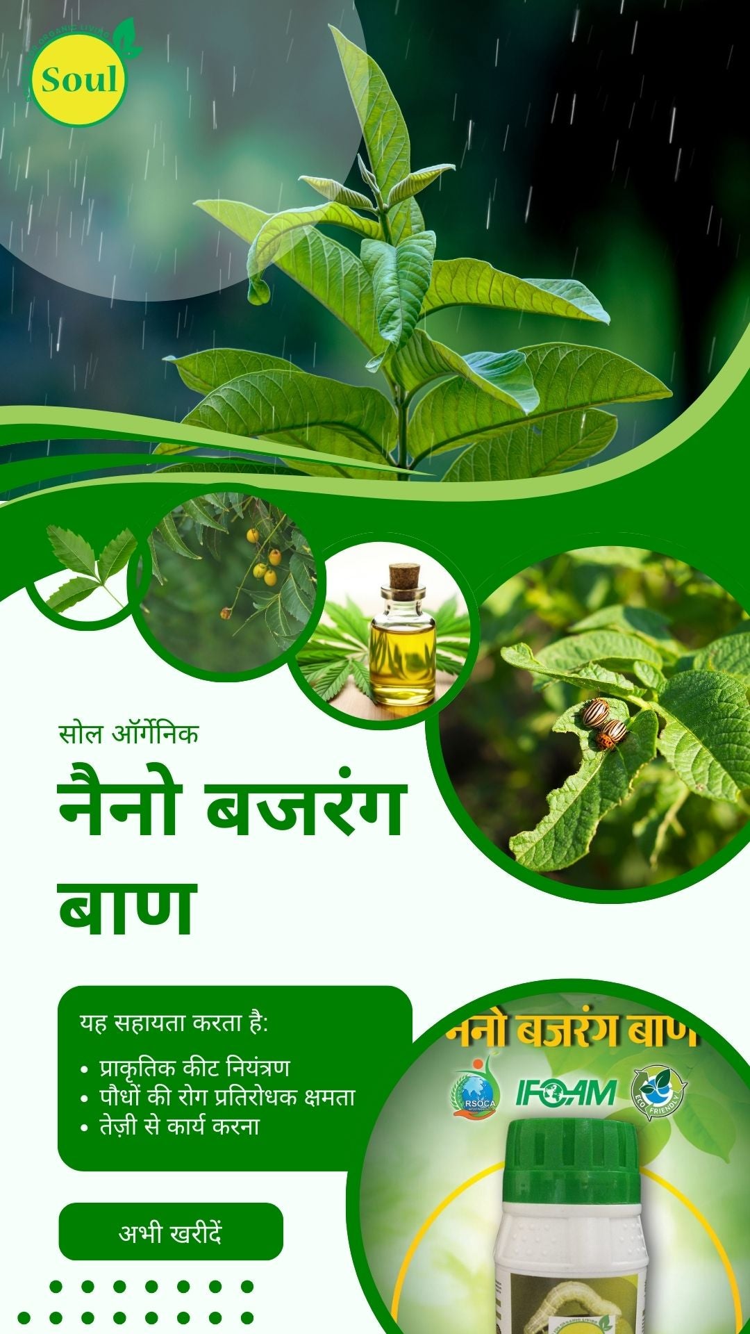 नैनो बजरंग बाण