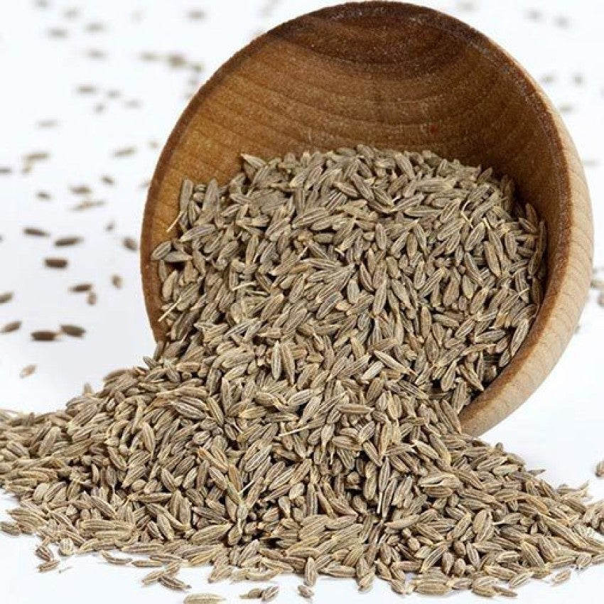 Cumin Seeds (Jeera) by Anand Kumar Suthar - SOUL SOCIETY FOR ORGANIC FARMING