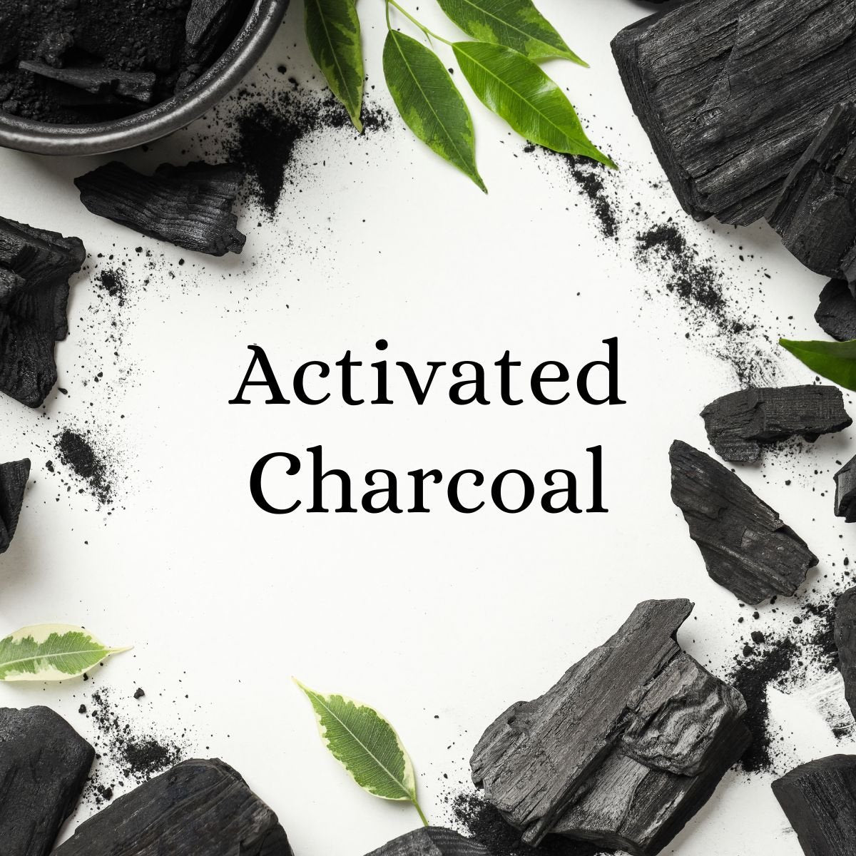 Activated Charcoal - SOUL SOCIETY FOR ORGANIC FARMING