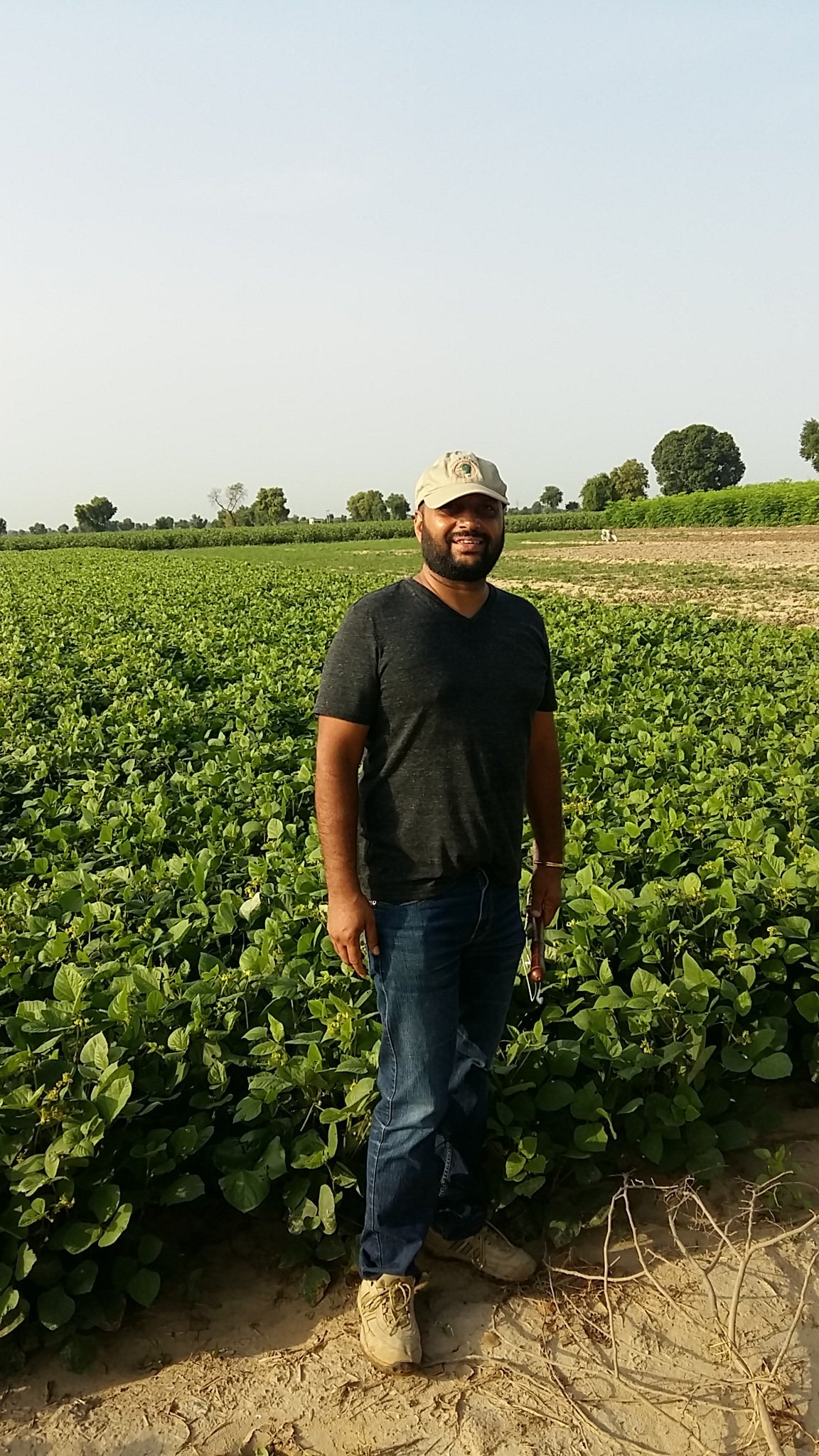 Authentic Desi Kabuli White Chana by Amar Sandhu - SOUL SOCIETY FOR ORGANIC FARMING