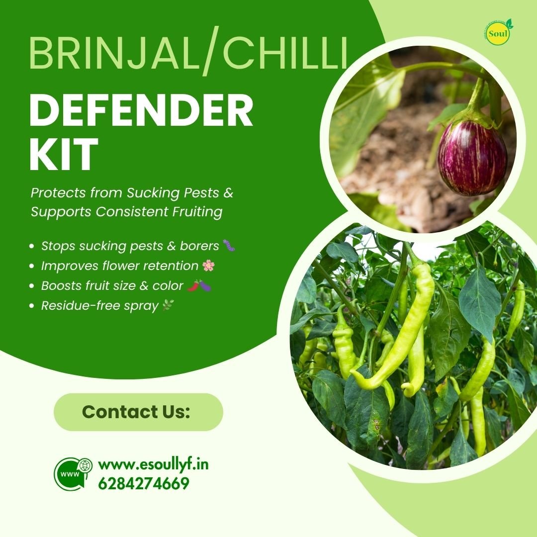 Brinjal/Chilli Defender Kit - SOUL SOCIETY FOR ORGANIC FARMING
