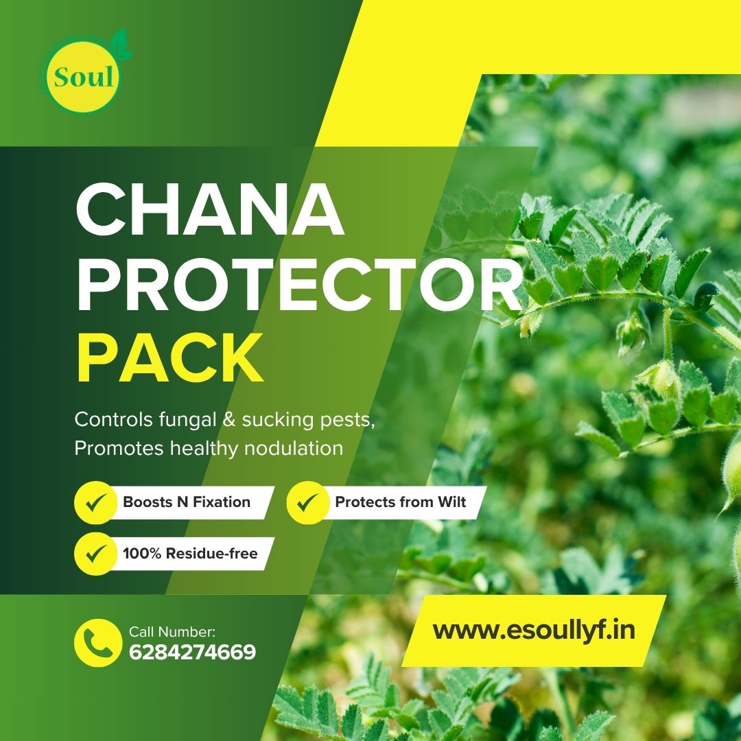 Chana Protector Pack - SOUL SOCIETY FOR ORGANIC FARMING