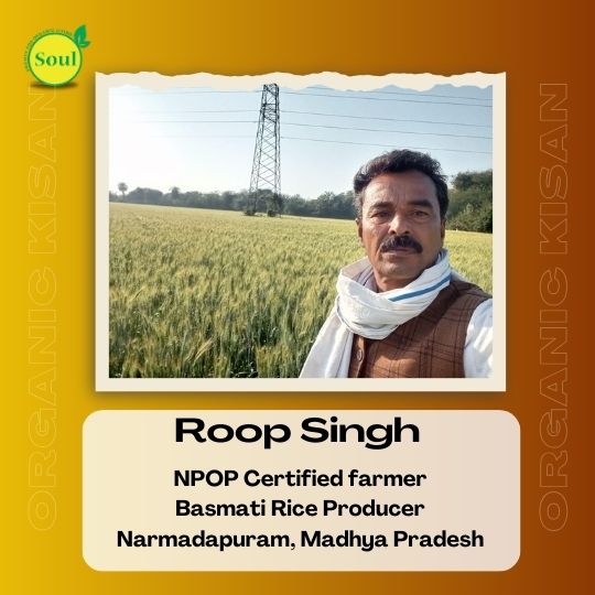 CSR 30 Basmati Rice - Premium, Aromatic Long Grain by Roop Singh - SOUL SOCIETY FOR ORGANIC FARMING