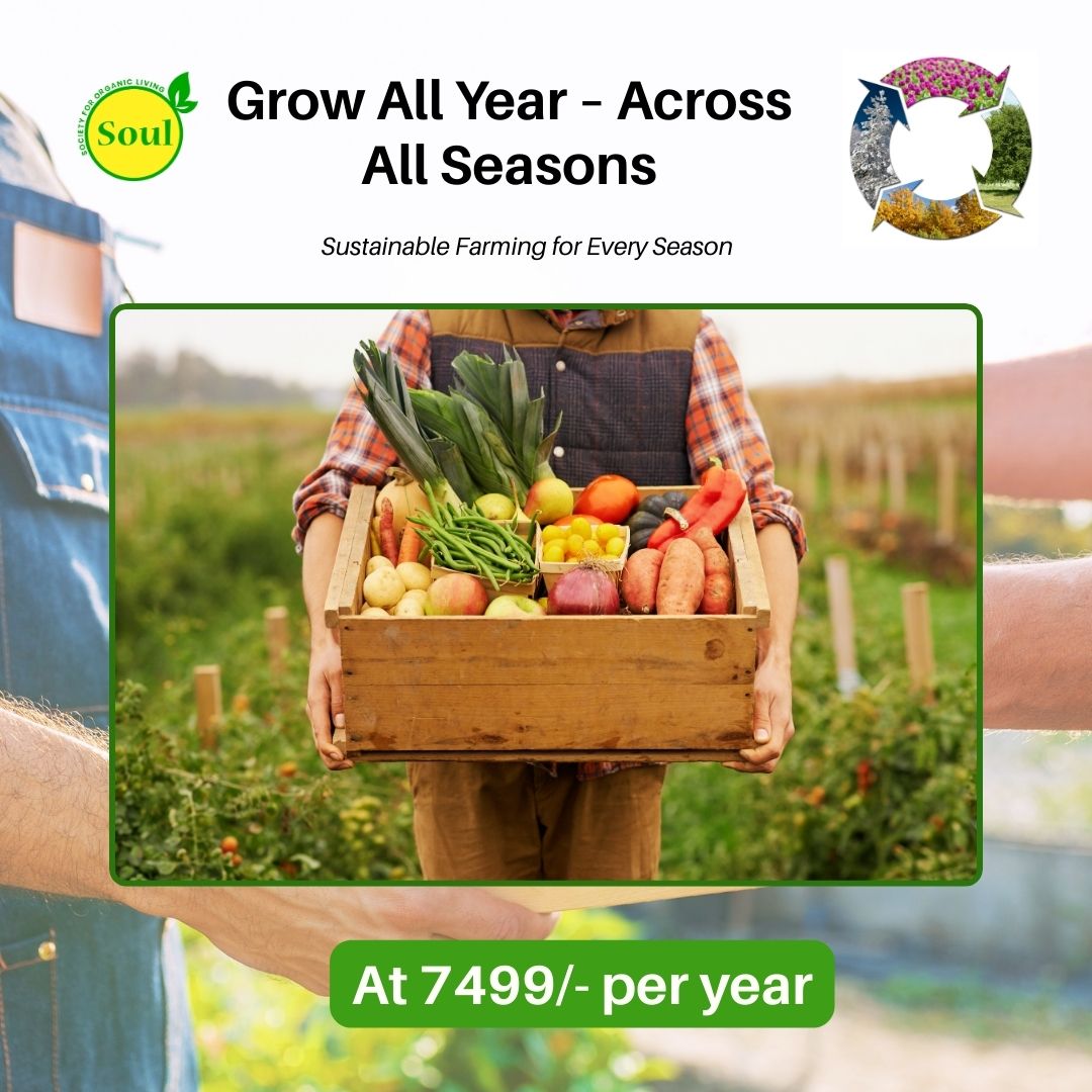 Harvest 365 - SOUL SOCIETY FOR ORGANIC FARMING