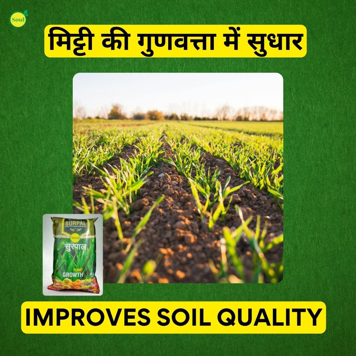 Humic Harvest | SURPAL | 98% Humic Acid - SOUL SOCIETY FOR ORGANIC FARMING