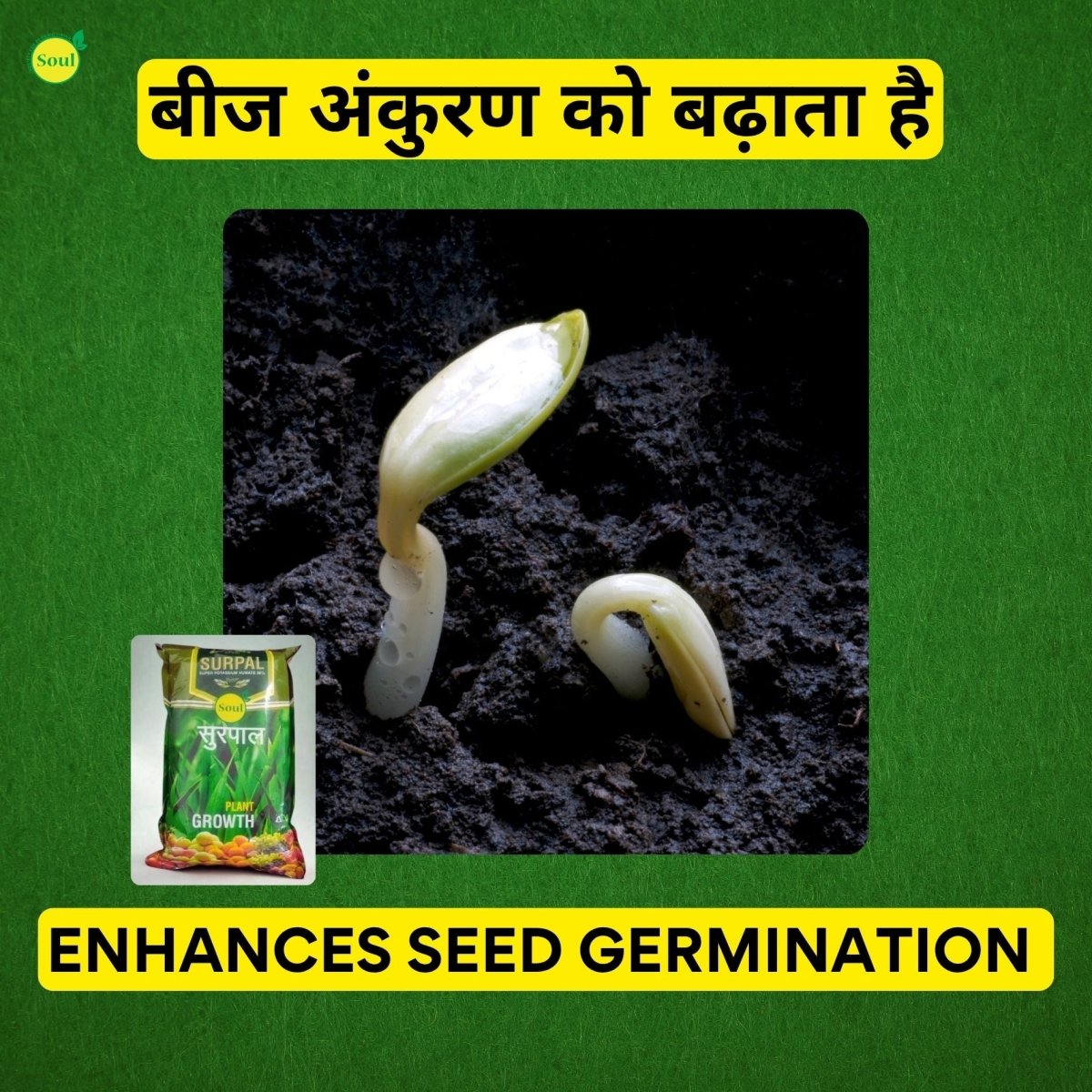 Humic Harvest | SURPAL | 98% Humic Acid - SOUL SOCIETY FOR ORGANIC FARMING