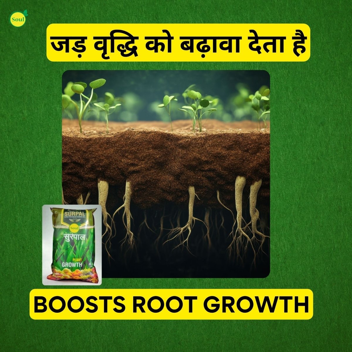 Humic Harvest | SURPAL | 98% Humic Acid - SOUL SOCIETY FOR ORGANIC FARMING