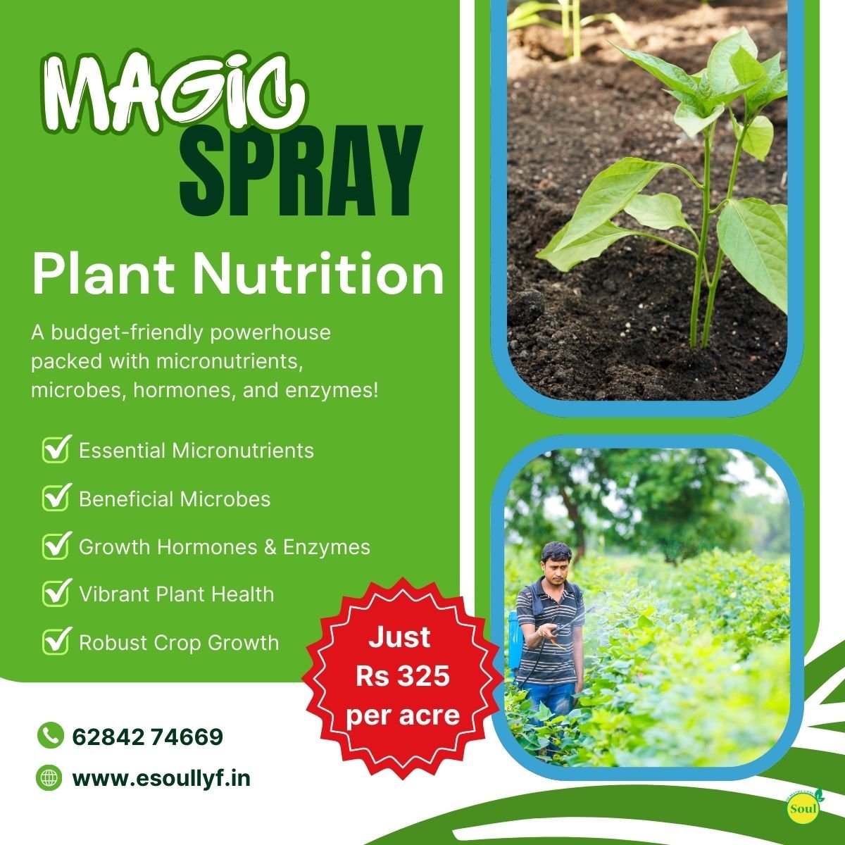 Magic Spray | Plant Nutrition - SOUL SOCIETY FOR ORGANIC FARMING