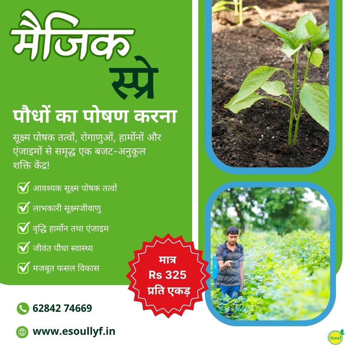 Magic Spray | Plant Nutrition - SOUL SOCIETY FOR ORGANIC FARMING