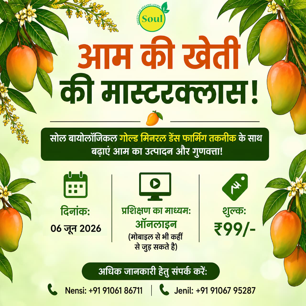 आम की खेती की मास्टरक्लास