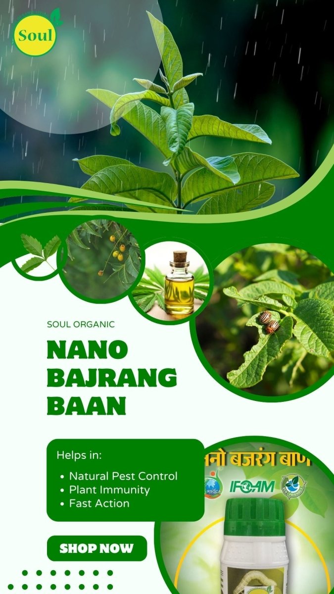 Nano Bio Larvicide | Nano Bajrang Baan - SOUL SOCIETY FOR ORGANIC FARMING
