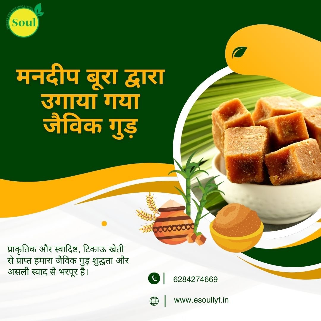 Organic Gud | Jaggery by Mandeep Boora - SOUL SOCIETY FOR ORGANIC FARMING