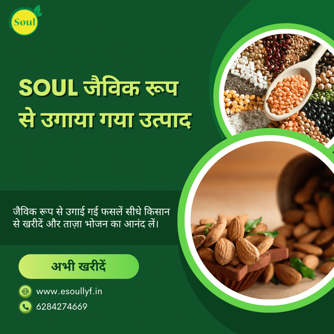 Organically Grown Masoor Dal | Red Lentil Split - SOUL SOCIETY FOR ORGANIC FARMING