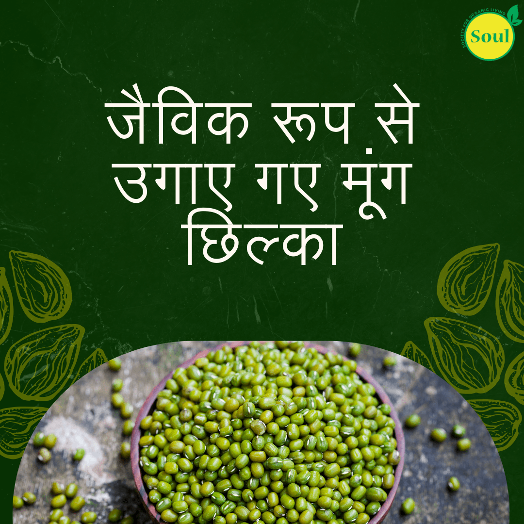 Organically Grown Moong Chilka | Moong Dal | Green Gram Split - SOUL SOCIETY FOR ORGANIC FARMING