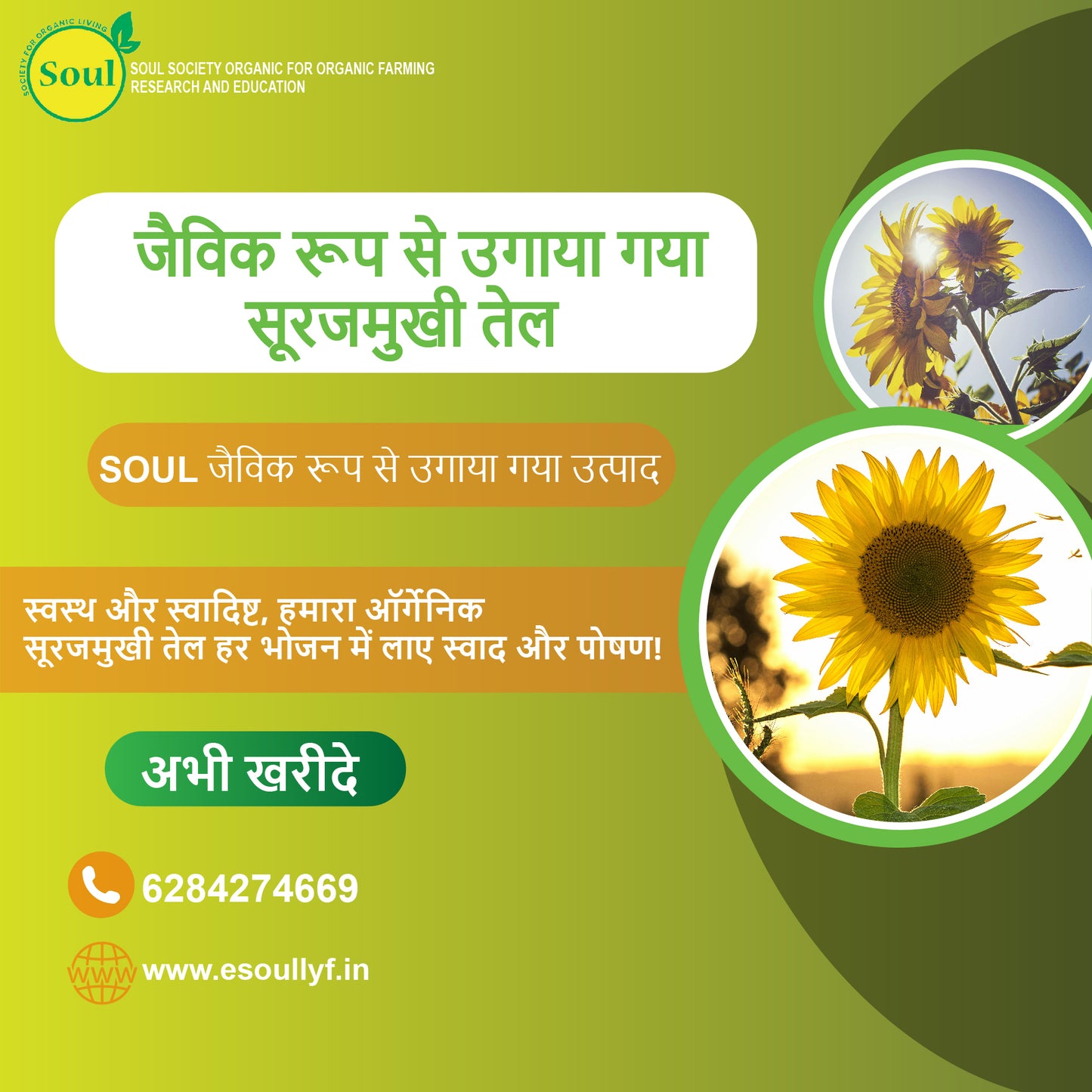 Organically Grown Sunflower Oil