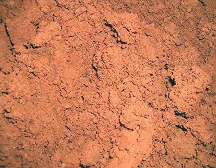 Manganese 200gm - SOUL SOCIETY FOR ORGANIC FARMING