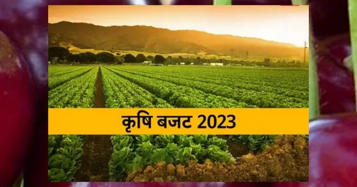 कृषि और केंद्रीय बजट 2023
