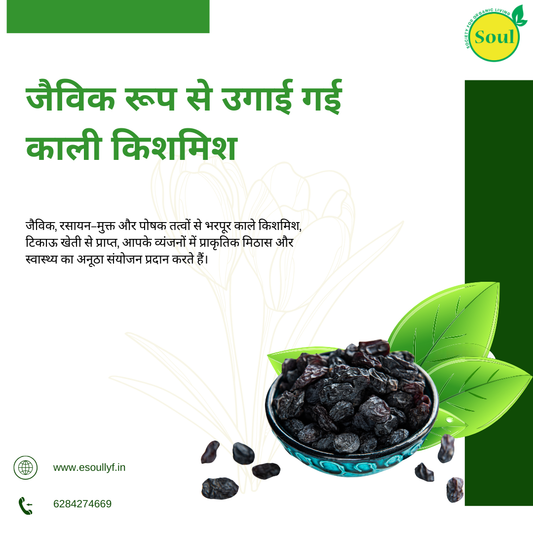 Organically Grown Black Raisin | Kismis