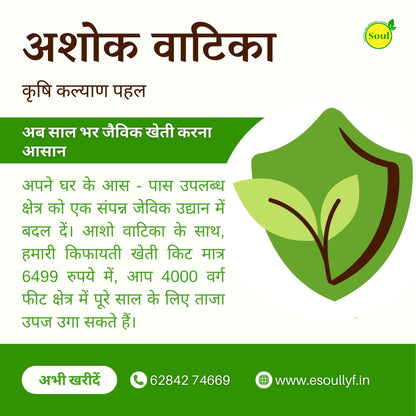 अशोक वाटिका