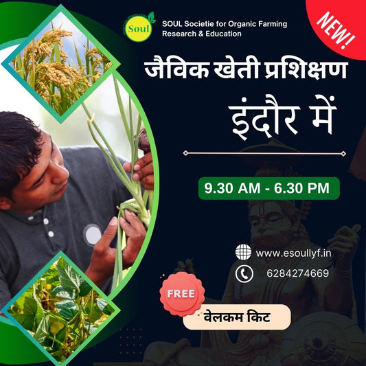 Organic Farming Training at Indore