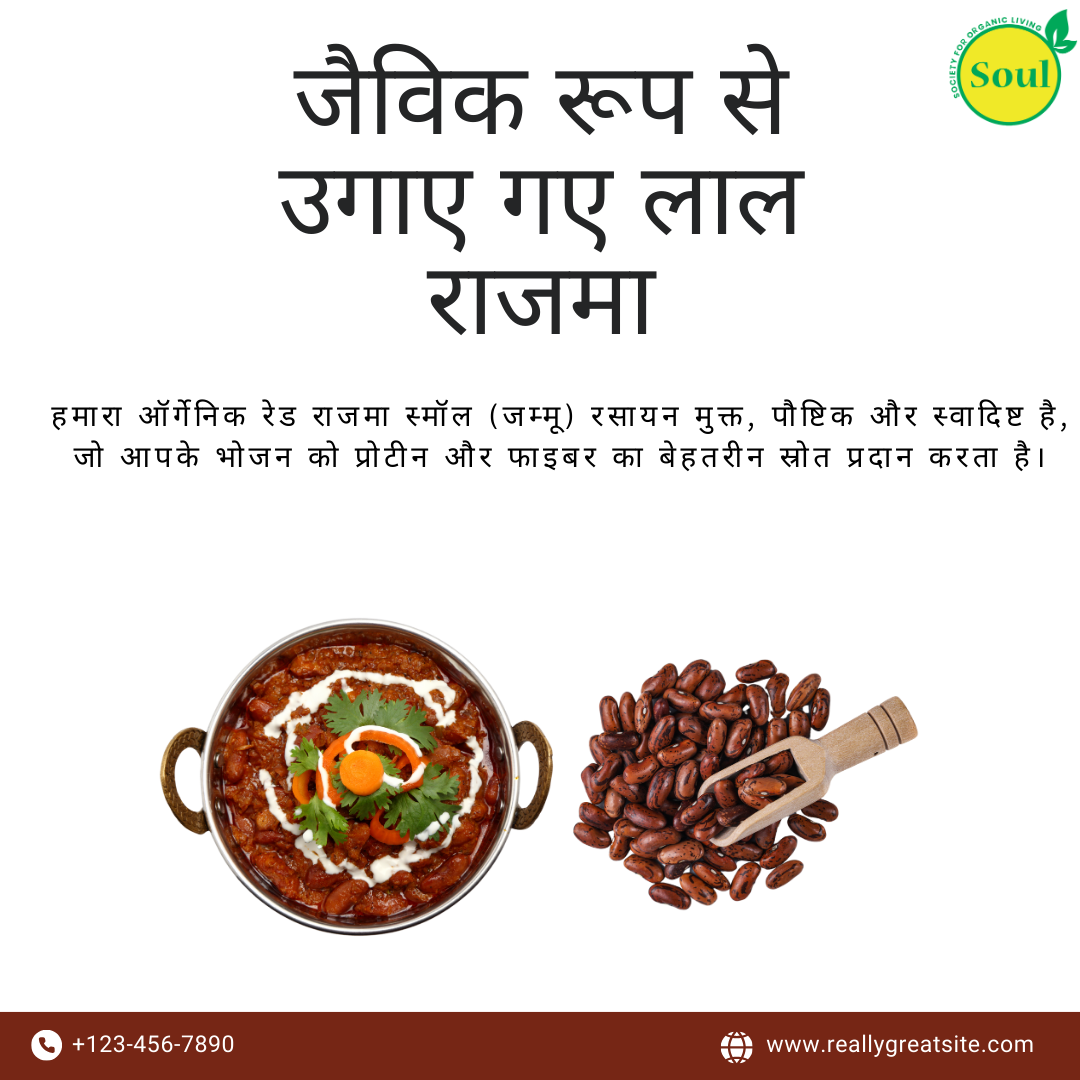 Organically Grown Red Rajma | Jammu | Small