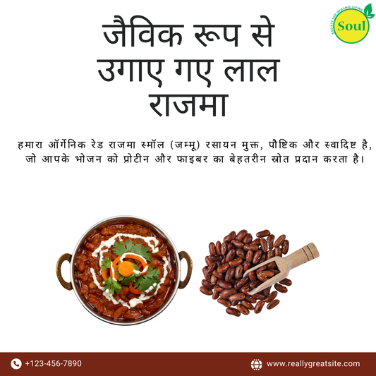 Organically Grown Red Rajma | Jammu | Small