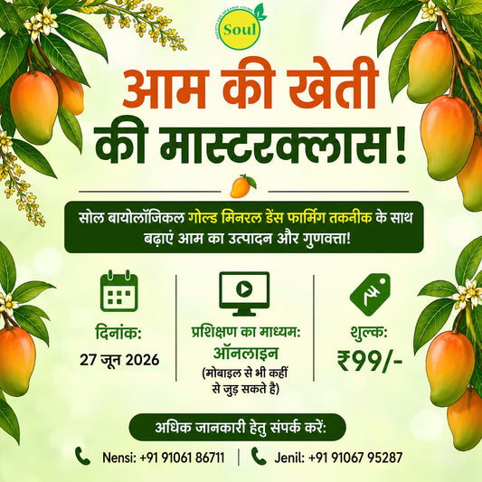 आम की खेती की मास्टरक्लास