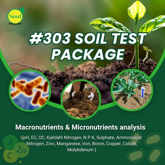 #303 Soil Test Package - Macronutrients & Micronutrients