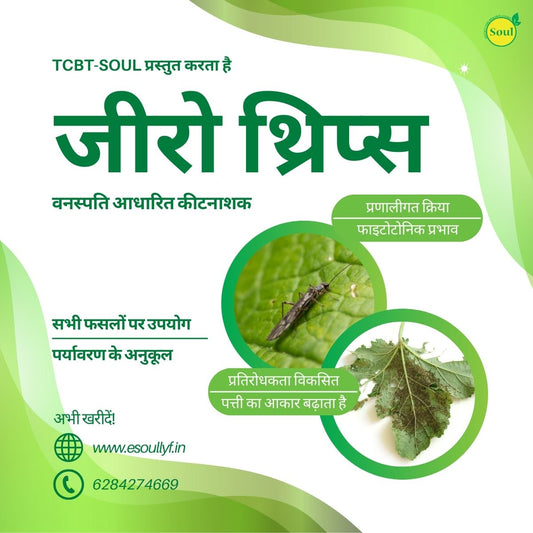 ज़ीरो थ्रिप्स