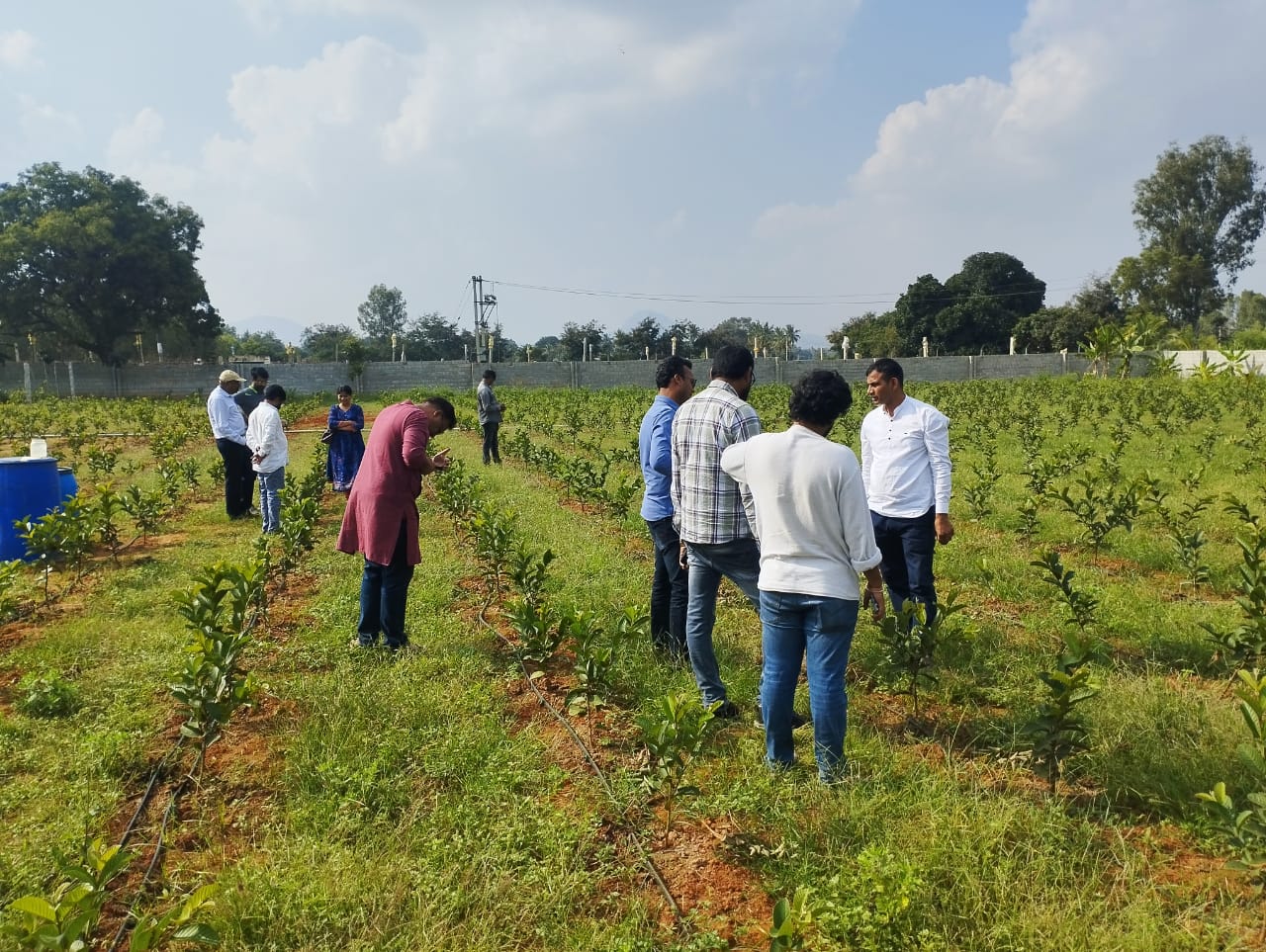 Organic Farming Training in Bengaluru