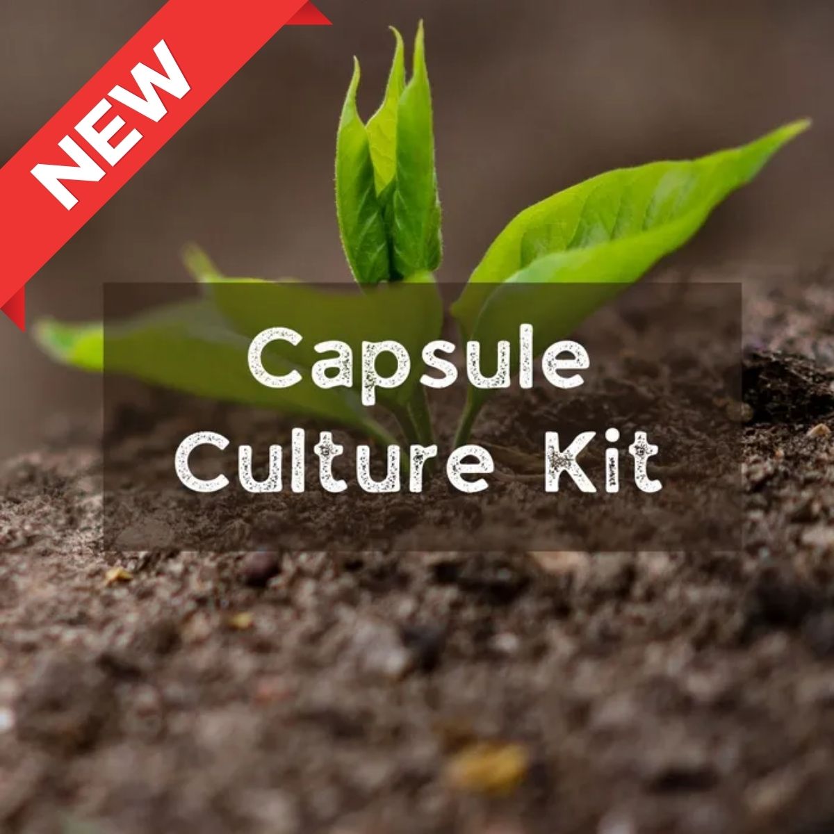 TCBT Capsule Culture for Soil Treatment - New Launch 2024