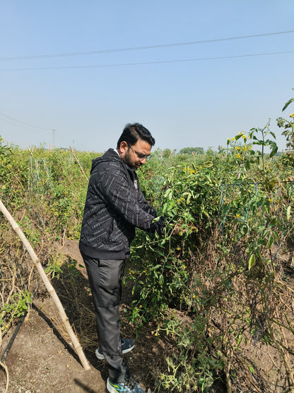 Groundnut Oil | Organically Grown | Cold Pressed | High in Oleic Acid by Dilip Ribadiya