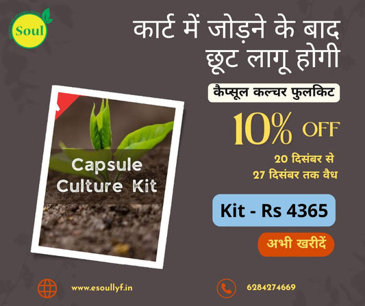 TCBT Capsule Culture for Soil Treatment