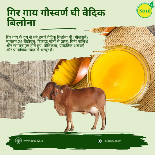 Gir Cow Gauswarn Ghee Vedic Bilona