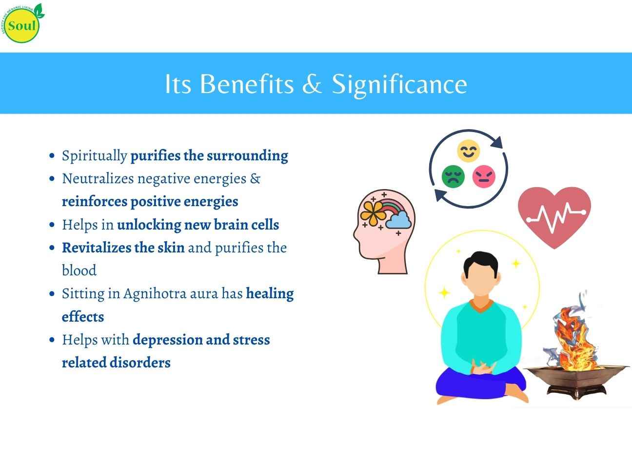 Agnihotra Kit | अग्निहोत्र किट - SOUL SOCIETY FOR ORGANIC FARMING