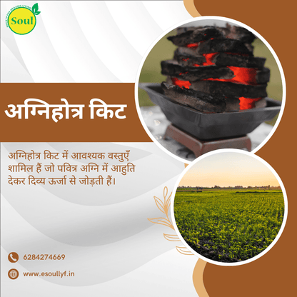 Agnihotra Kit | अग्निहोत्र किट - SOUL SOCIETY FOR ORGANIC FARMING