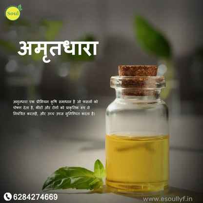 Amritdhara - SOUL SOCIETY FOR ORGANIC FARMING