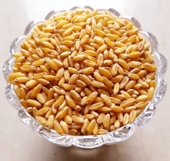 Bansi Wheat by Pankaj Manda - SOUL SOCIETY FOR ORGANIC FARMING