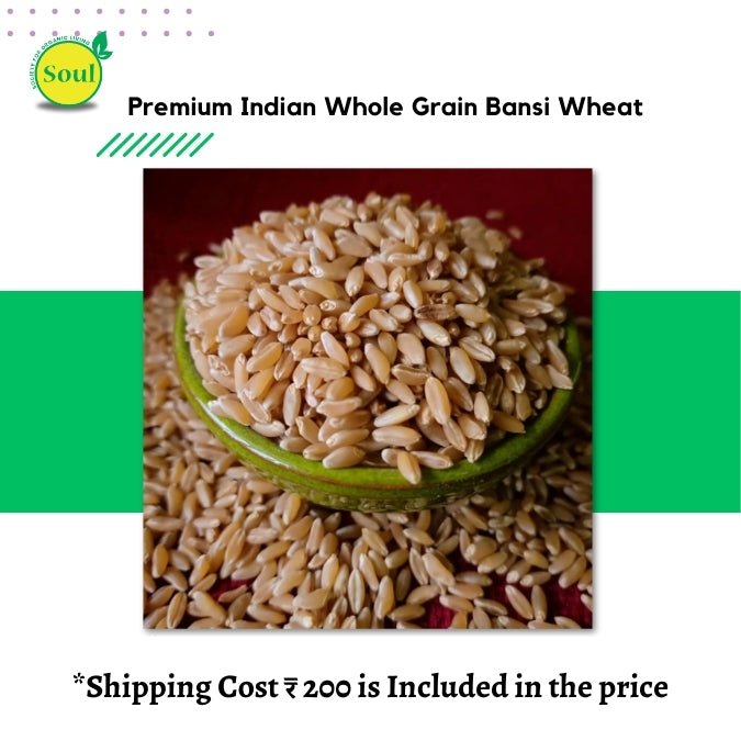 Bansi Wheat by Pankaj Manda - SOUL SOCIETY FOR ORGANIC FARMING