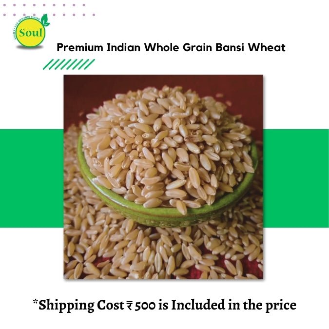 Bansi Wheat by Pankaj Manda - SOUL SOCIETY FOR ORGANIC FARMING