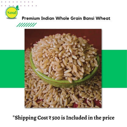 Bansi Wheat by Pankaj Manda - SOUL SOCIETY FOR ORGANIC FARMING