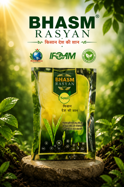 Organic Minerals | Bhasma Rasayan Readymade | Natural source of Zinc, Iron, Copper, Manganese, Magnesium, Boron, Sulphur