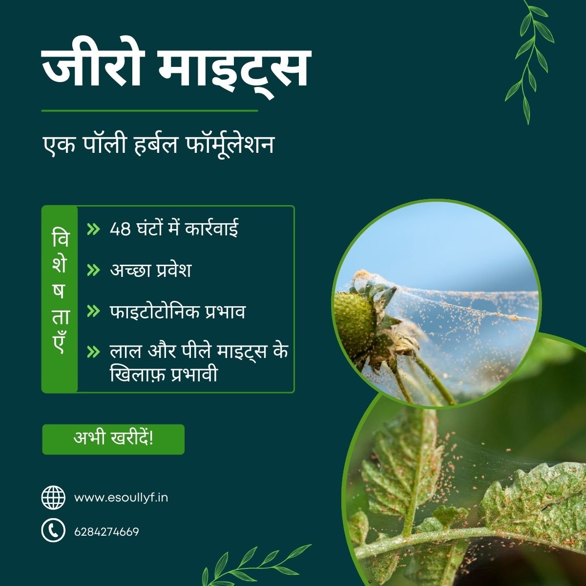 Botanical Pesticide | Zero Mite - SOUL SOCIETY FOR ORGANIC FARMING